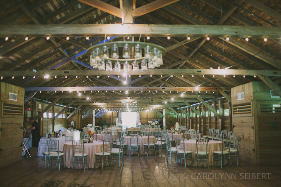  - Carolynn Seibert New Orleans Destrehan Plantation Wedding Photography 29